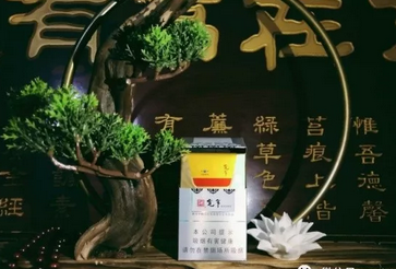 免税七匹狼香烟多少钱一包【七匹狼烟要多少钱】|低价香烟网