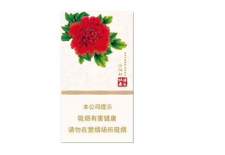 昭通哪里有香烟批发的店